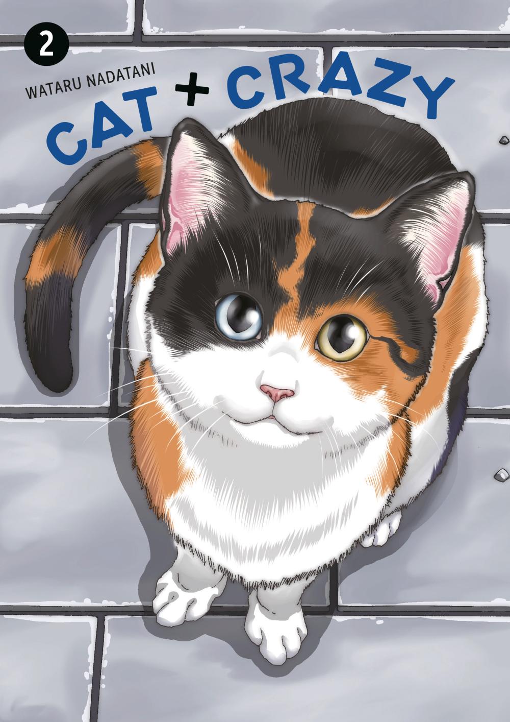 CAT CRAZY VOLUME 2