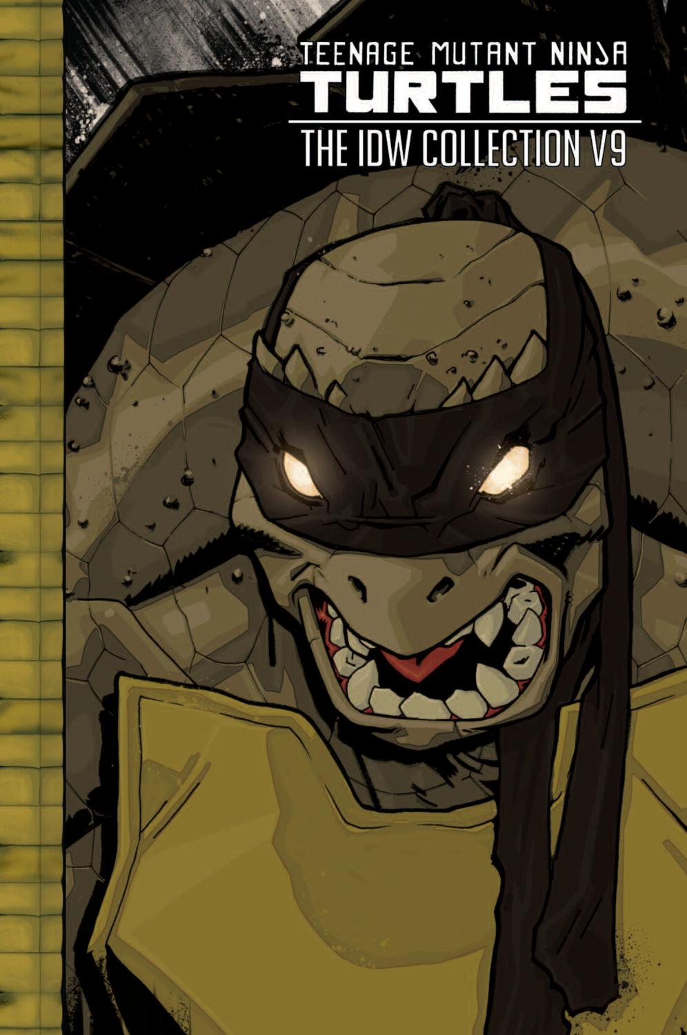 TMNT IDW COLLECTION TP VOL 09