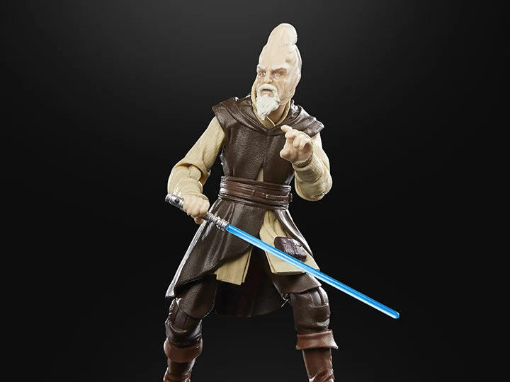 Star Wars Black Attack Of The Clones Ki-Adi-Mundi Action Figure