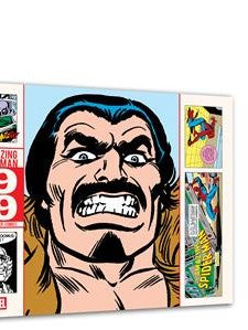 AMAZING SPIDER-MAN CLASSIC NEWSPAPER COMICS TP 1979