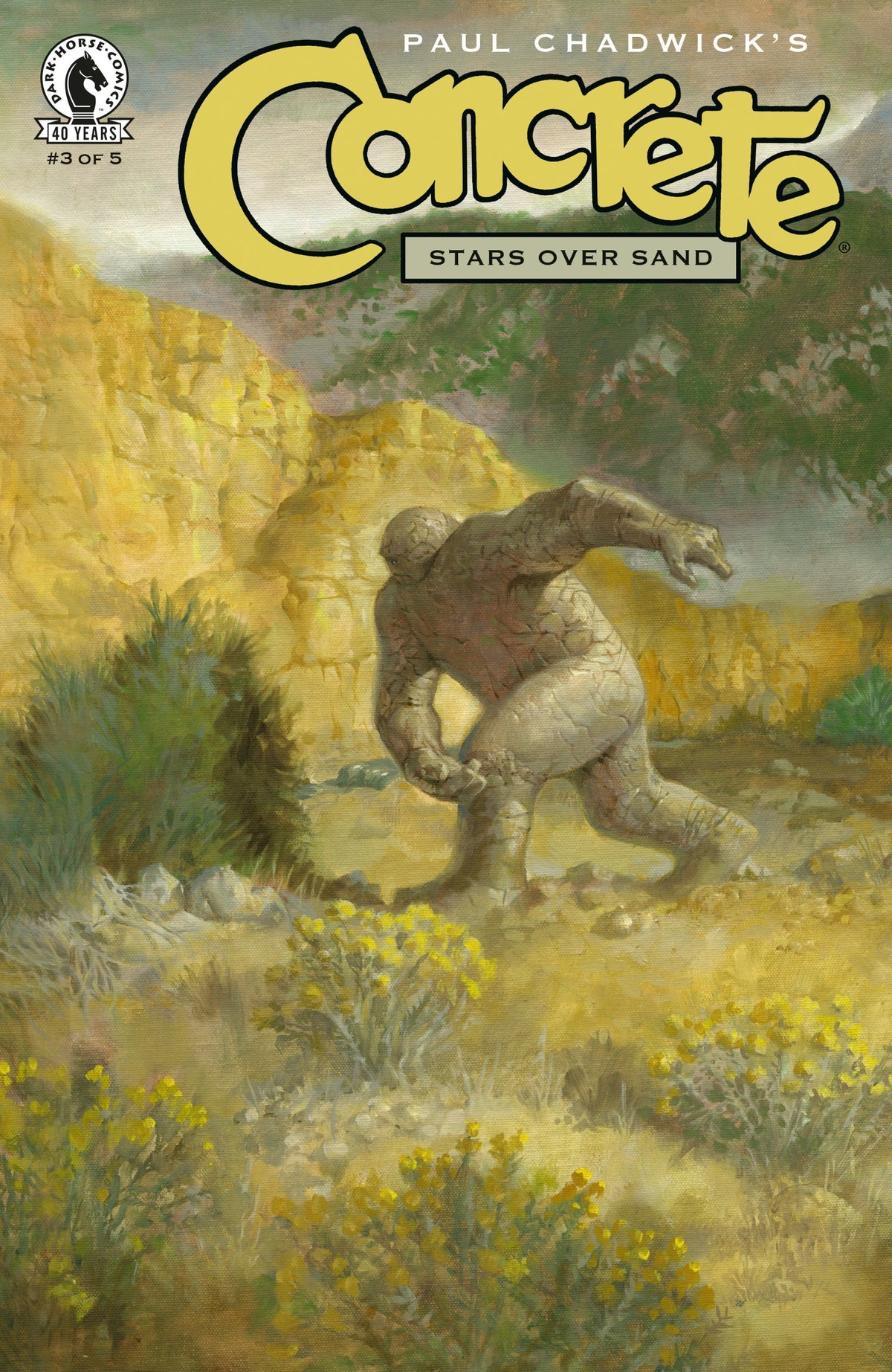 CONCRETE STARS OVER SAND #3 CVR A PAUL CHADWICK